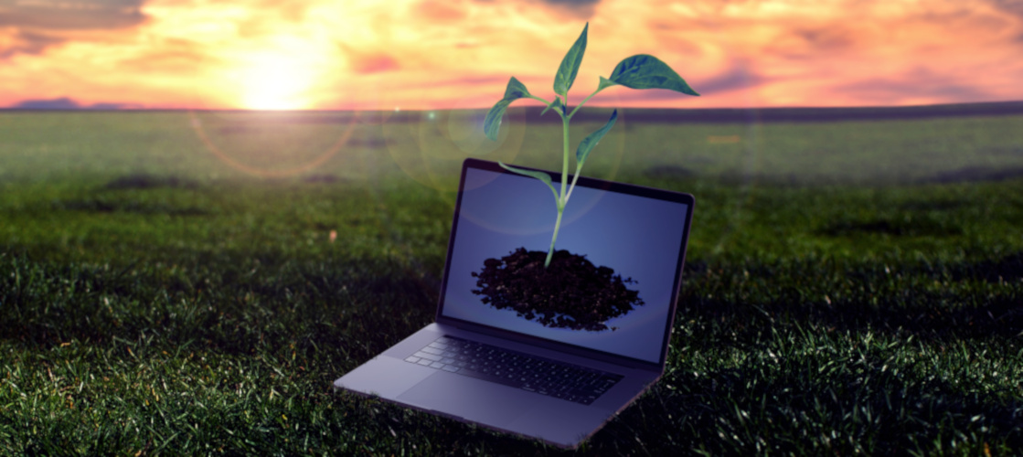 Seekncheck - 35 marketing tools for non coders