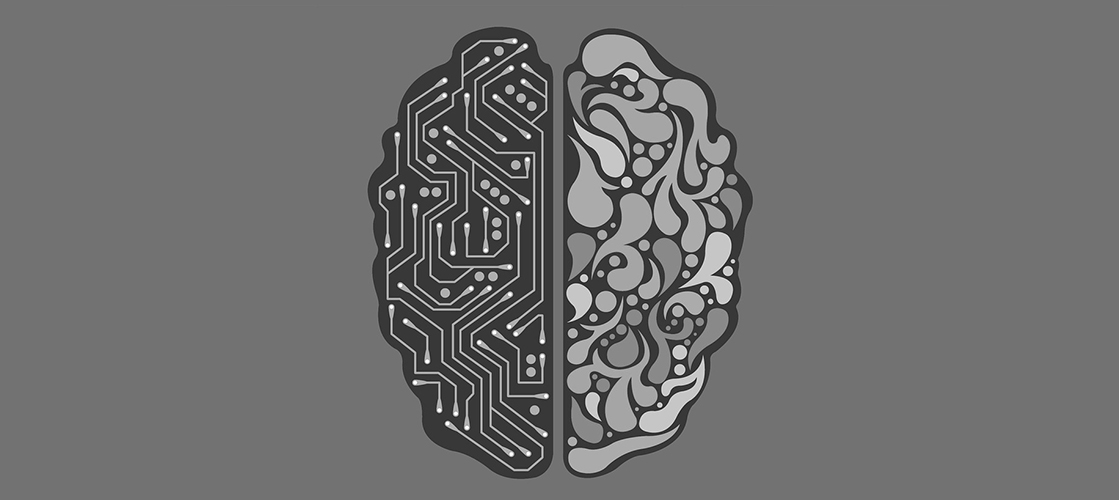 Cerveau
