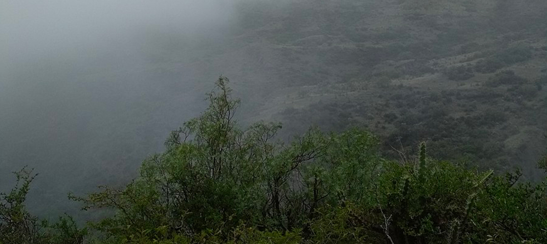 Evaporation